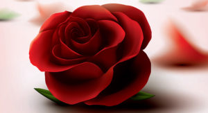 images-of-red-roses